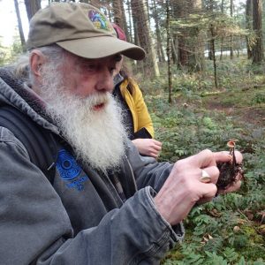 Paul explains how to identify an earlpick fungus